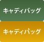 キャディバッグ